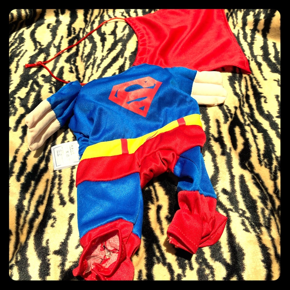 🐶Superman Walking Small Pet Dog or Cat Costume
